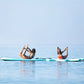 yoga surfboard SUP stand up paddle board surf board